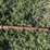 schmeiser-9.5'-ring-roller-image-8