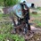 #1579-•-wood-chipper-with-electric-motor-image-3
