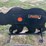 pabreak-bear-shaped-reactive-shooting-target-image-1