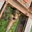 prentice-d210c-image-80