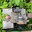 #1593-•-metal-slide-chute-image-8