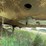 #1385-•-1974-gindy-semi-van-trailer-full-of-wood-image-50