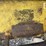 wacker-neuson-rt820-image-13