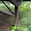 #1386-•-1994-44'-peerless-semi-van-trailer-image-32