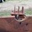 #1564-•-body-of-stationary-wood-chipper-image-9