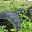 #1618-•-(6)-pettibone-tires-image-3