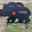 pabreak-bear-shaped-reactive-shooting-target-image-1