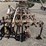 custom-3-pt-3-row-60"-cultivator-image-7
