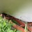 #1629-•-johnson-motors-fiberglass-boat-on-trailer-(no-title)-image-15