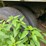 #1637-•-semi-trailer-with-contents-(no-title)-image-4
