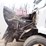 2005-volvo-vn-image-38