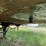 #1385-•-1974-gindy-semi-van-trailer-full-of-wood-image-51