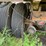 #1381-•-international-f-2674-tri-axel-dump-truck-image-37