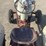 ford-jubilee-image-20