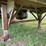 #1390-•-1986-dorsey-reffer-van-trailer-image-17