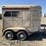(dmv)-w&w-(2)-horse-horsey-trailer-image-2