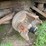 #1381-•-international-f-2674-tri-axel-dump-truck-image-45