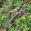 #1590-•-(4)-metal-tanks-and-scrap-iron-image-9