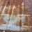 #1577-•-(3)-pieces-of-flat-steel-image-6