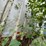 #1386-•-1994-44'-peerless-semi-van-trailer-image-48