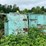 #1620-•-unknown-brand-debarking-machine-image-6