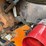 #1381-•-international-f-2674-tri-axel-dump-truck-image-14