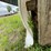 #1386-•-1994-44'-peerless-semi-van-trailer-image-10