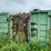 #1619-•-manitowoc-debarking-machine-image-11
