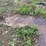 #1578-•-flat-steel-image-4