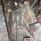 #1638-•-semi-trailer-with-contents-(no-title)-image-8
