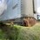#1384-•-1995-wabash-53"-semi-van-trailer-body-image-52