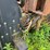 #1381-•-international-f-2674-tri-axel-dump-truck-image-72