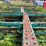 #1589-•-wood-semi-trailer-pieces-for-scrap-image-5