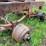 #1573-•-wood-hauling-parts-image-9