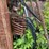 #1594-•-portable-precision-chipper-image-17