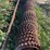 schmeiser-9.5'-ring-roller-image-5