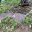 #1578-•-flat-steel-image-1