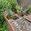 #1389-•-large-steel-pintle-hitch-trailer-with-broken-frame-(no-title)-image-7