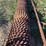 schmeiser-9.5'-ring-roller-image-7