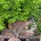 #1594-•-portable-precision-chipper-image-13