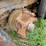 #1381-•-international-f-2674-tri-axel-dump-truck-image-29