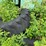 #1618-•-(6)-pettibone-tires-image-6