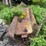 #1627-•-steel-platform-with-electric-motor-image-5