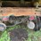 #1381-•-international-f-2674-tri-axel-dump-truck-image-38