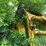 #1636-•-pettibone-picker-for-scrap-image-16