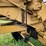 wabco-666-image-60