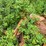 #1623-•-12'-plow-blade-image-7