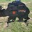 pabreak-bear-shaped-reactive-shooting-target-image-1
