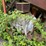#1622-•-mack-engine-powering-portable-chipper-image-11