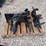 hydraulic-auger-drive-with-two-bits-and-hydraulic-brush-cutter-attachment-image-4